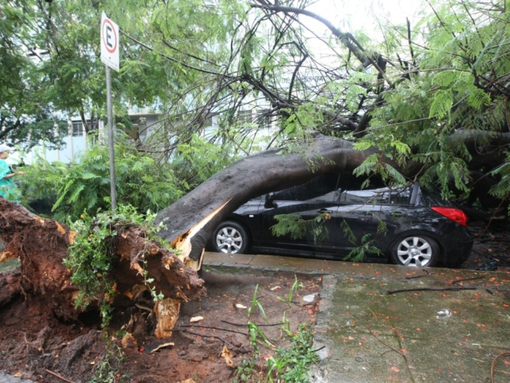 Seguros e os riscos causados pela natureza